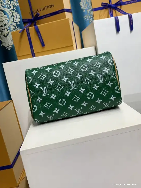 Rep Vuitton SPEEDY Louis 25 0216