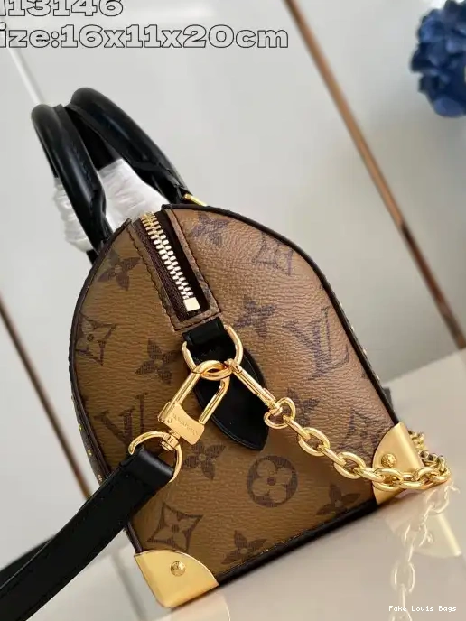 Rep Speedy Trunk Vuitton 20 Louis 0226