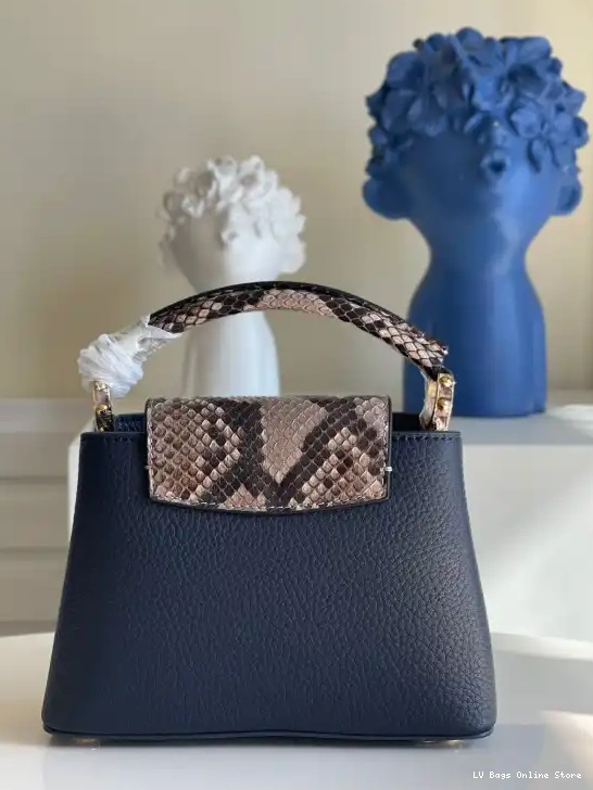 Rep LOUIS VUITTON CAPUCINES MINI 0225