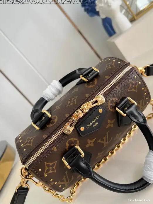 Rep Speedy Trunk Vuitton 20 Louis 0226