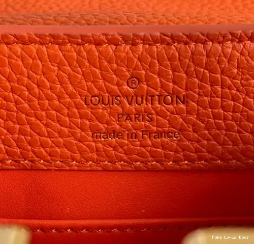 Affordable MINI LOUIS VUITTON CAPUCINES 0219