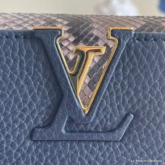 Rep LOUIS VUITTON CAPUCINES MINI 0225