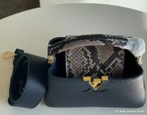 Rep LOUIS VUITTON CAPUCINES MINI 0225