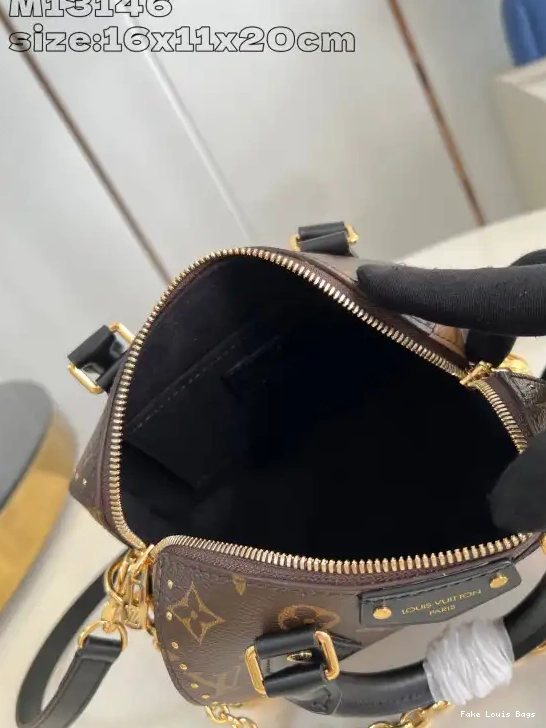 Rep Speedy Trunk Vuitton 20 Louis 0226