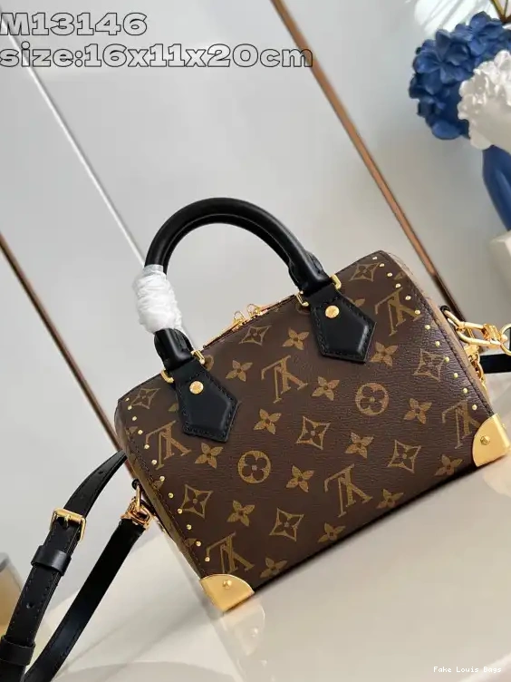 Rep Speedy Trunk Vuitton 20 Louis 0226