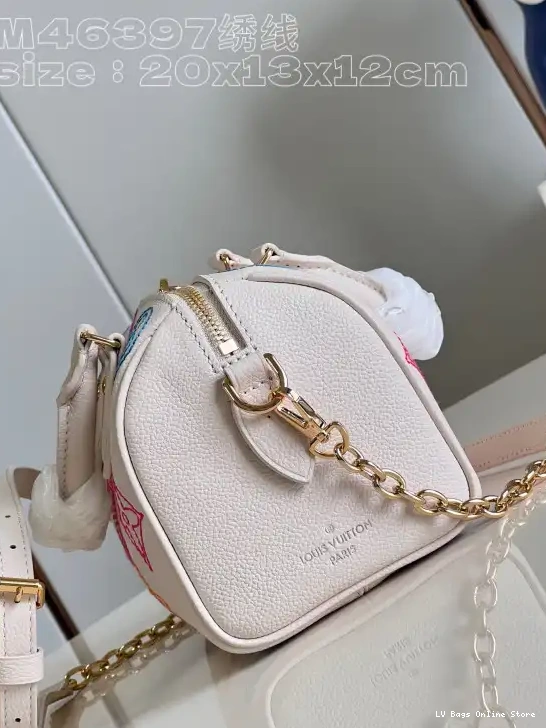 Cheap VUITTON SPEEDY BANDOULIÈRE 20 LOUIS 0210