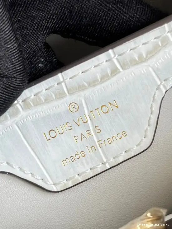 Rep LOUIS VUITTON CAPUCINES BB 0208