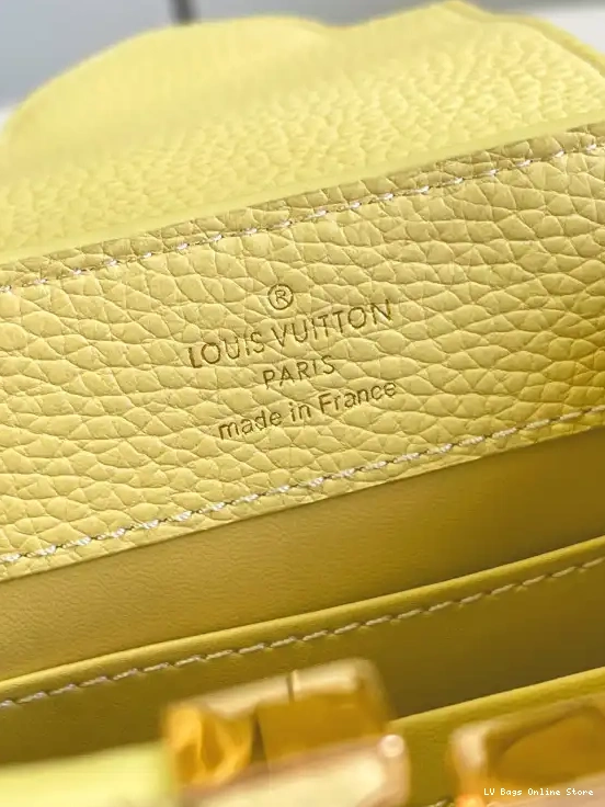 Rep VUITTON CAPUCINES LOUIS MINI 0226