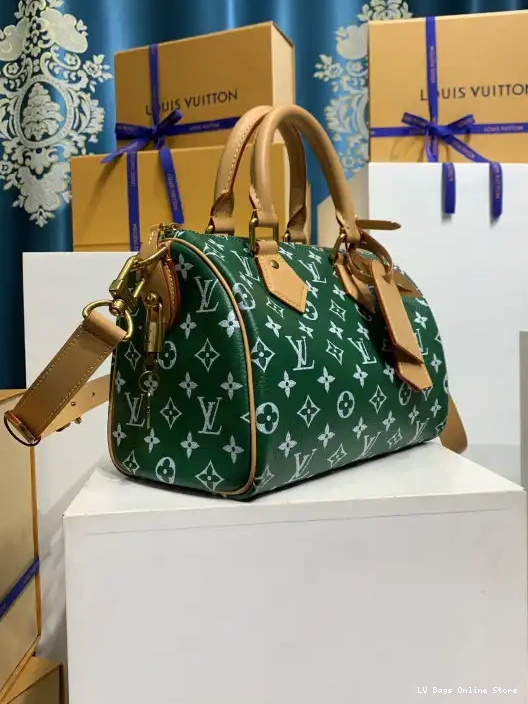 Rep Vuitton SPEEDY Louis 25 0216