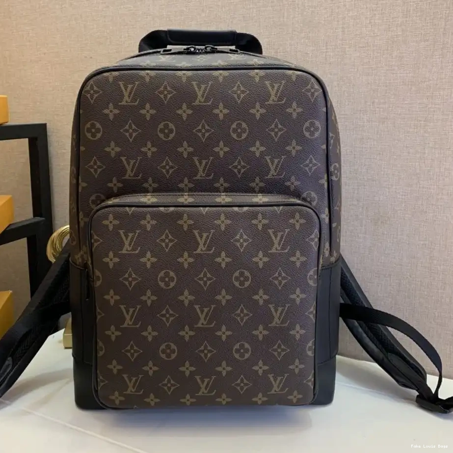 Cheap LOUIS VUITTON BACKPACK 0219