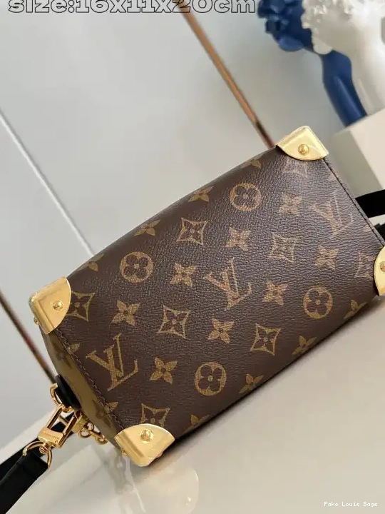 Rep Speedy Trunk Vuitton 20 Louis 0226