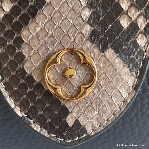 Rep LOUIS VUITTON CAPUCINES MINI 0225