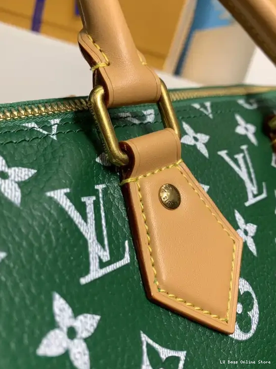 Rep Vuitton SPEEDY Louis 25 0216