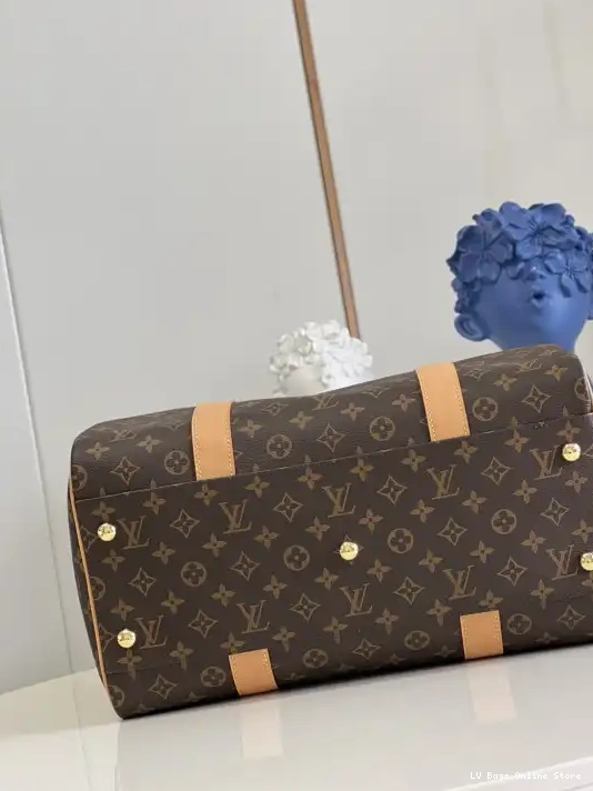 Rep LOUIS CARRYALL VUITTON 0212