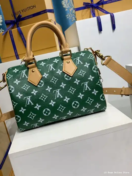 Rep Vuitton SPEEDY Louis 25 0216